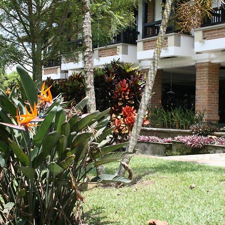 Finca Hotel La Esperanza Montenegro Exteriér fotografie