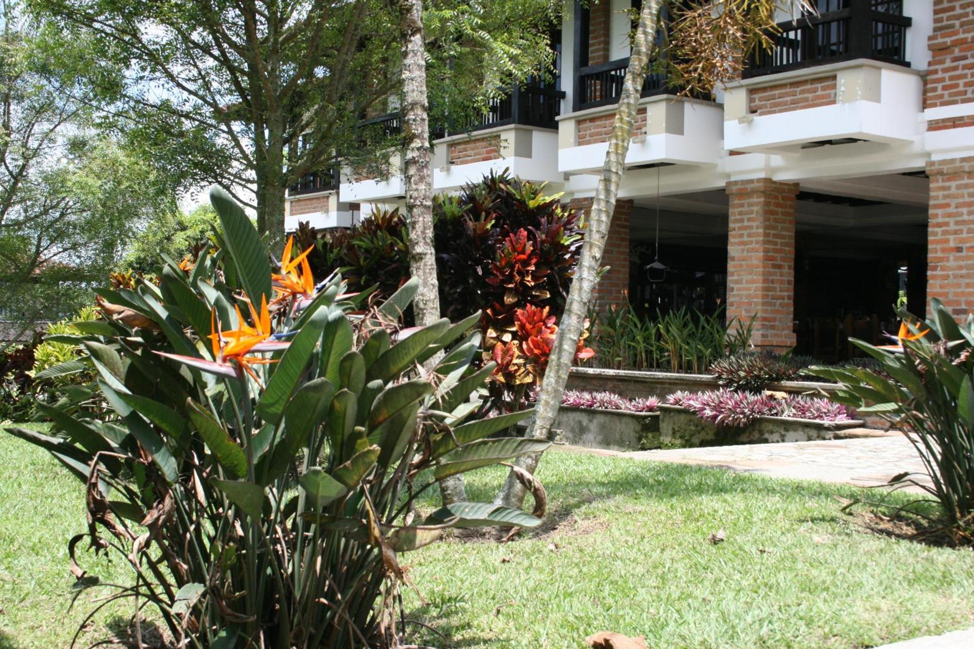 Finca Hotel La Esperanza Montenegro Exteriér fotografie