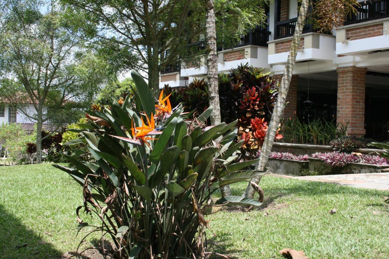 Finca Hotel La Esperanza Montenegro Exteriér fotografie