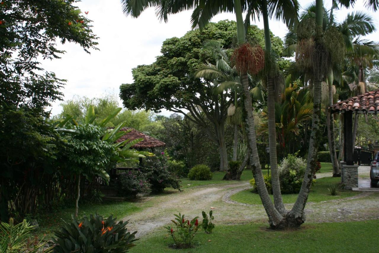 Finca Hotel La Esperanza Montenegro Exteriér fotografie